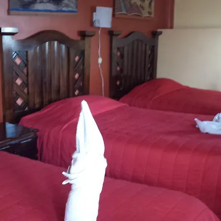 Hostal Will House